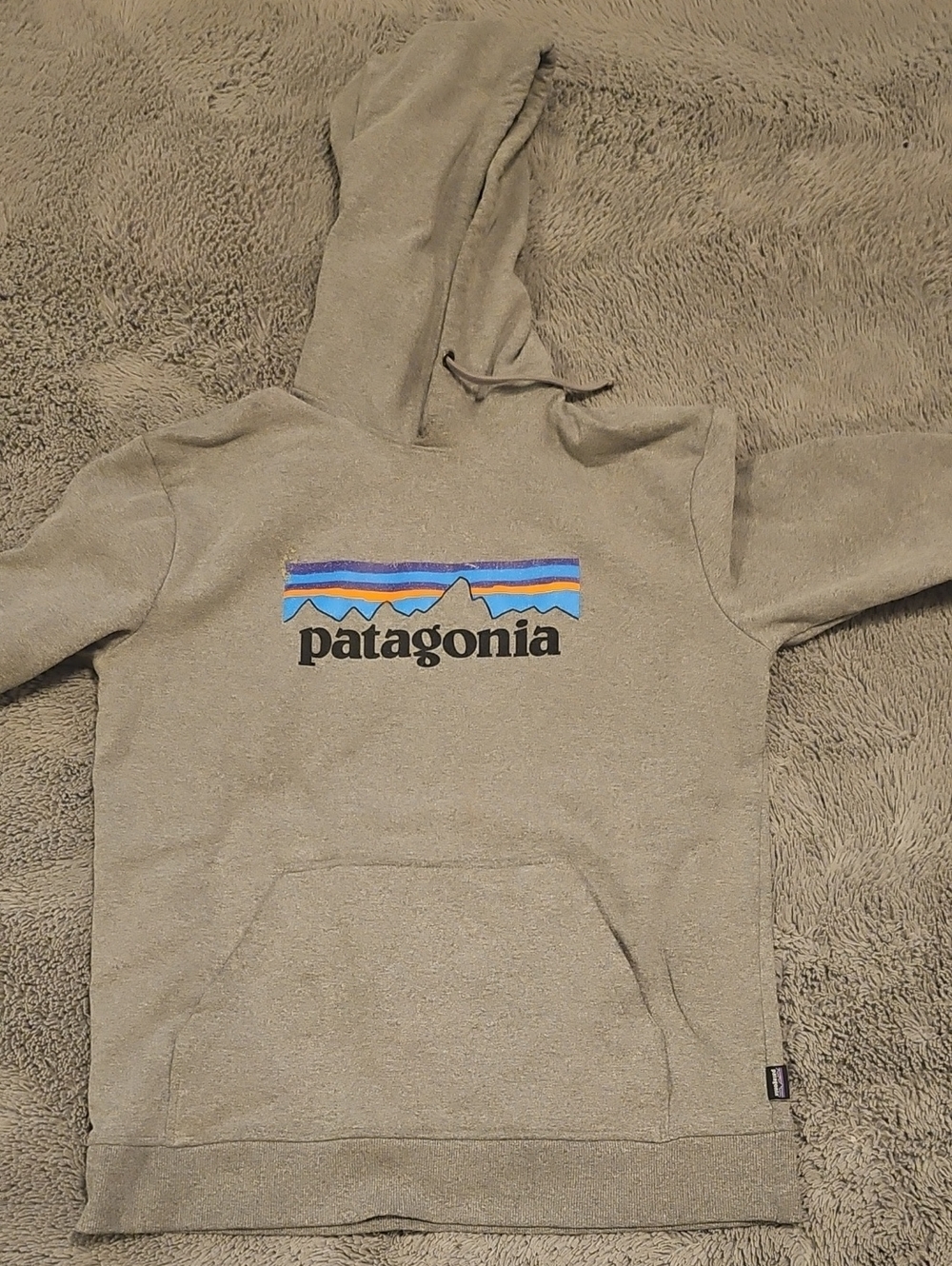 Patagonia Hoodie in Grey with Multicolor Logo